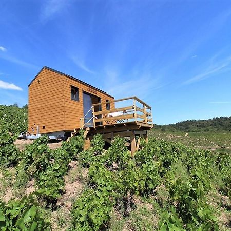 Tiny House Au Coeur Du Vignoble Beaujolais Hotel Fleurie Luaran gambar
