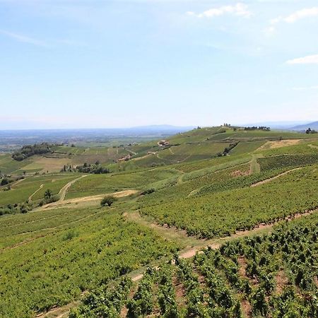 Tiny House Au Coeur Du Vignoble Beaujolais Hotel Fleurie Luaran gambar