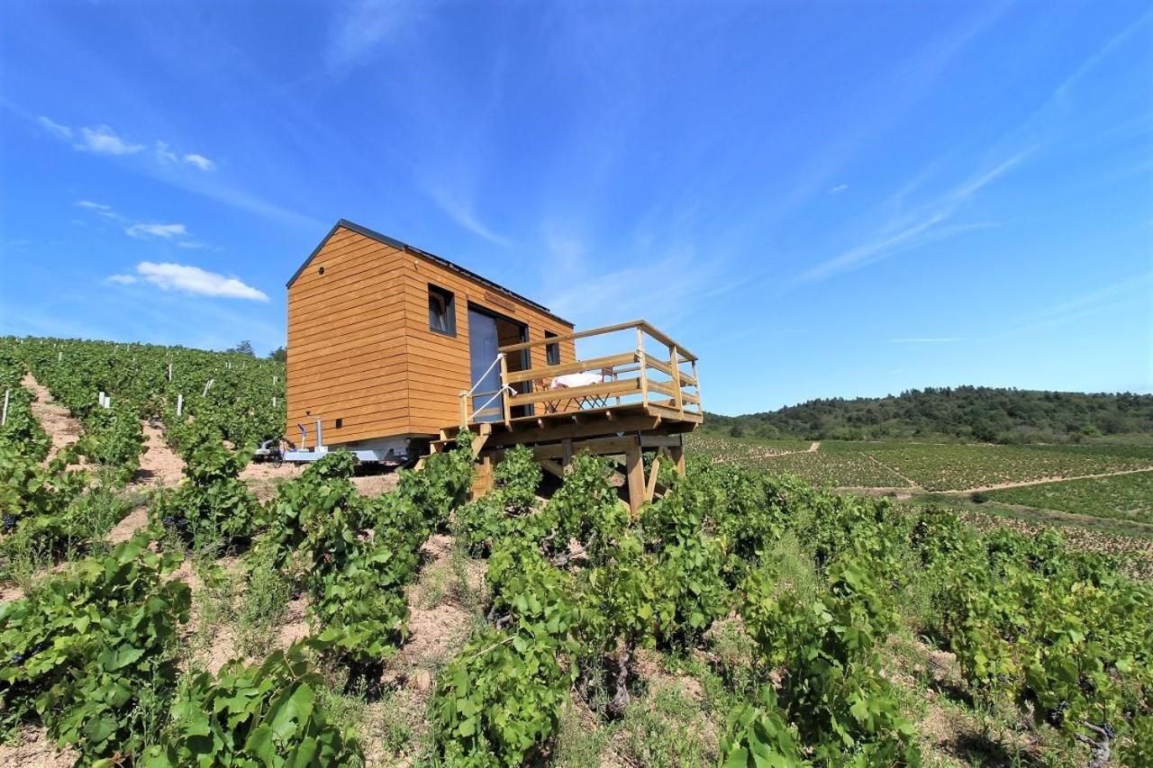 Tiny House Au Coeur Du Vignoble Beaujolais Hotel Fleurie Luaran gambar